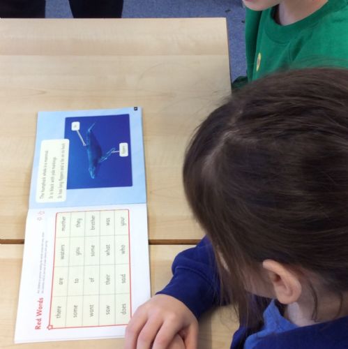 red word (non decodable words) partner practise