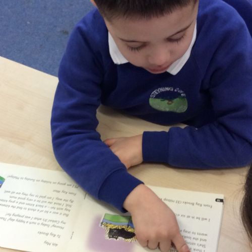 rereading for fluency