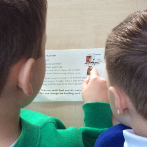 shared reading