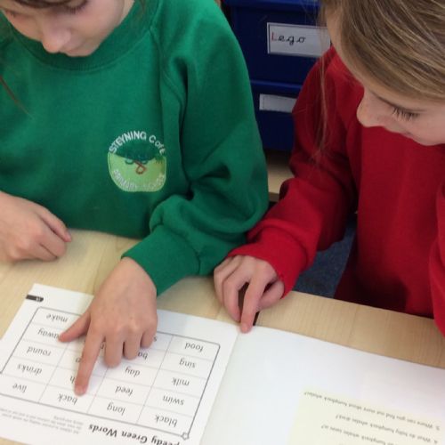 speedy green words partner practise