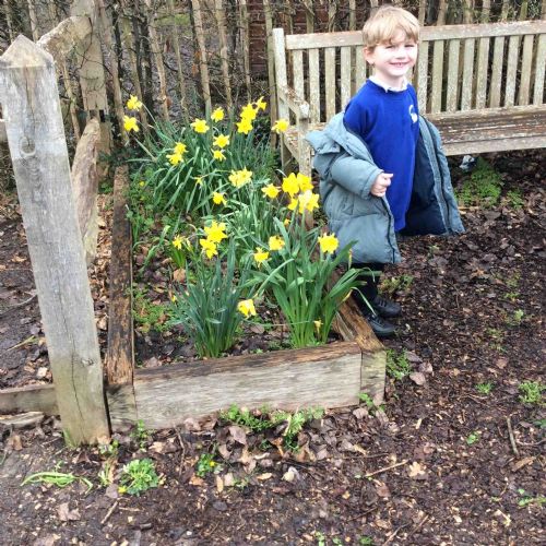 Spring Walk