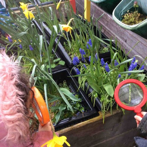 Lots of growing plants